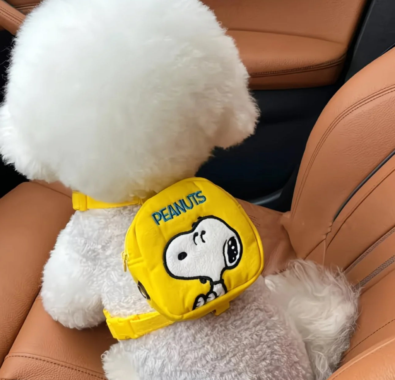 Pechera Snoopy