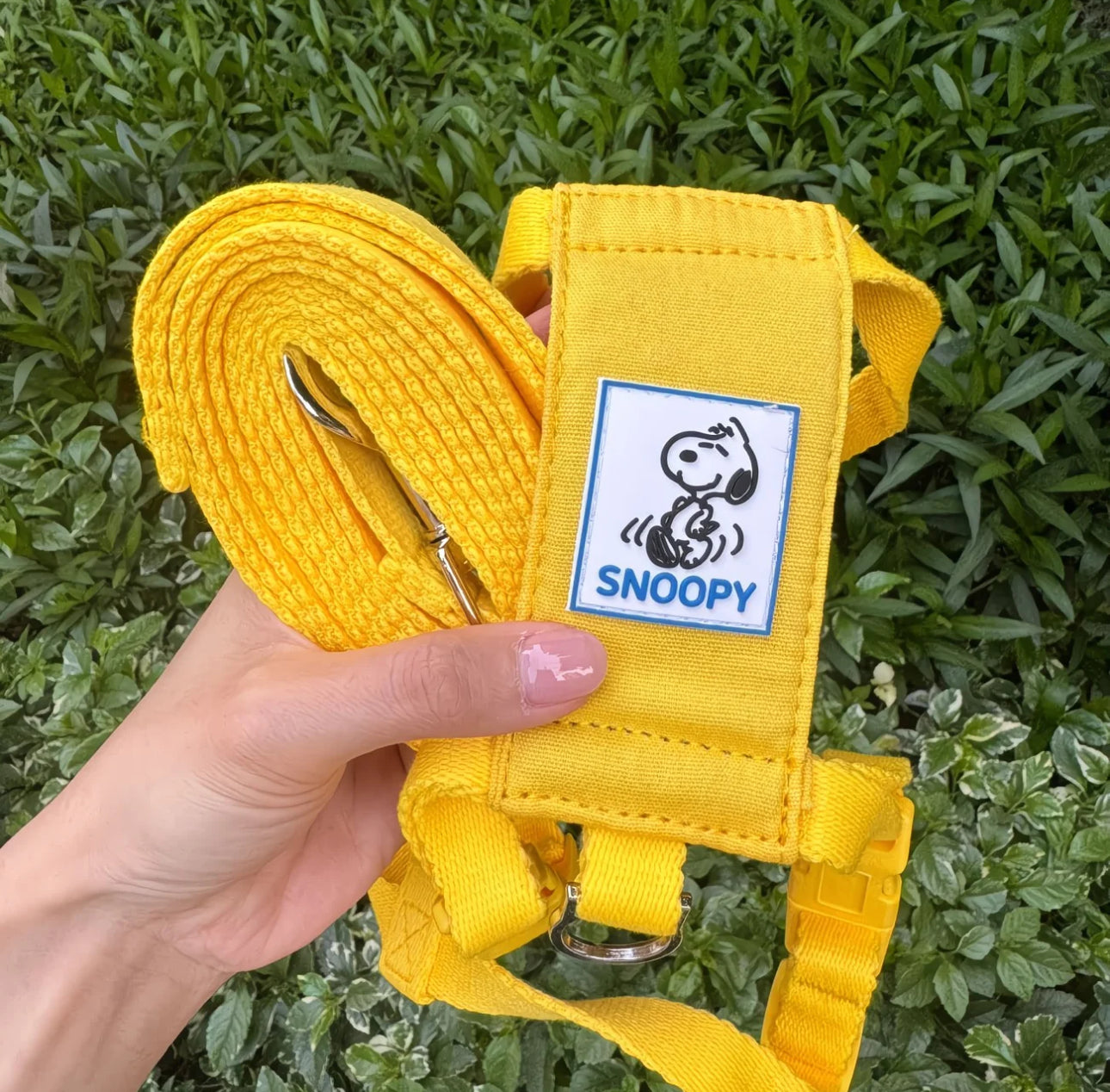 Pechera Snoopy